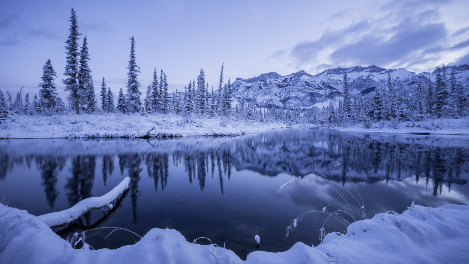 Winter in Jasper National Park © Jeff Lewis Photography