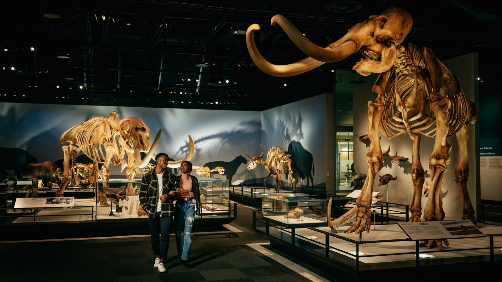 Royal Alberta Museum in Edmonton © Cooper & O'hara