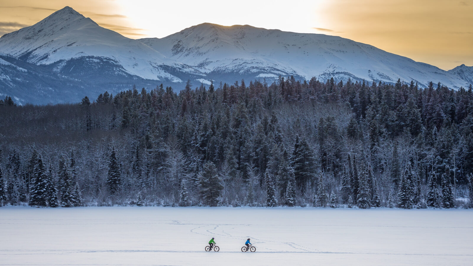 Snowbiken © Tourism Jasper
